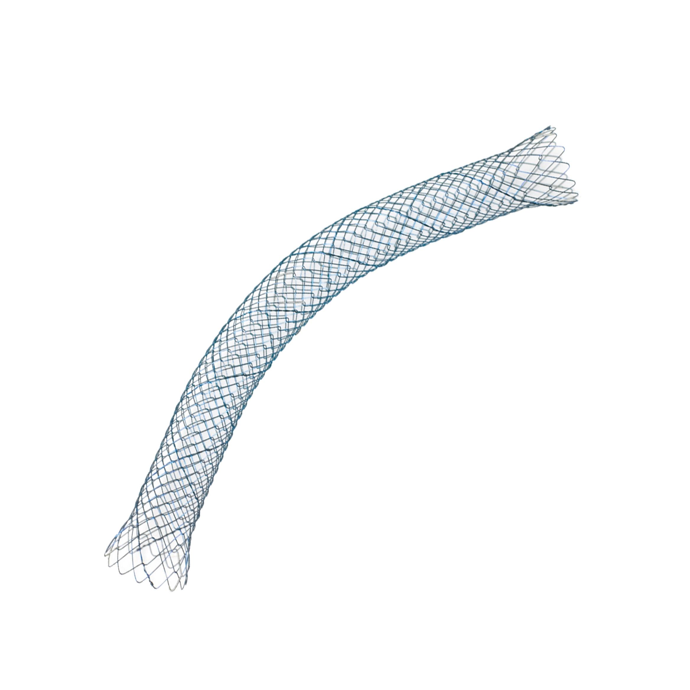 Stent biliaire BONASTENT®