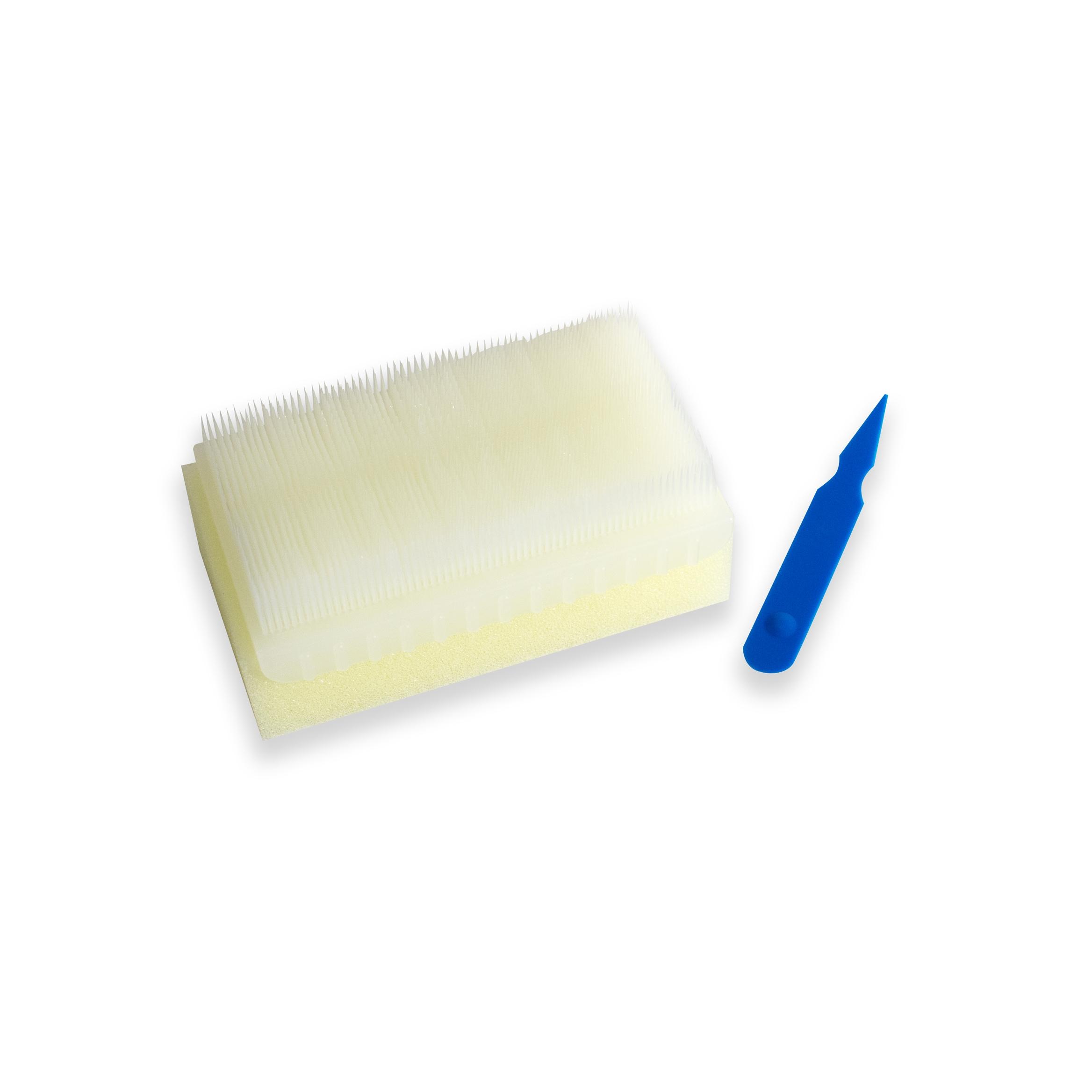 Nail Scrub Brush Autoclavable (MOQ: 10) – Surgical Systems | Surgical  Supplies