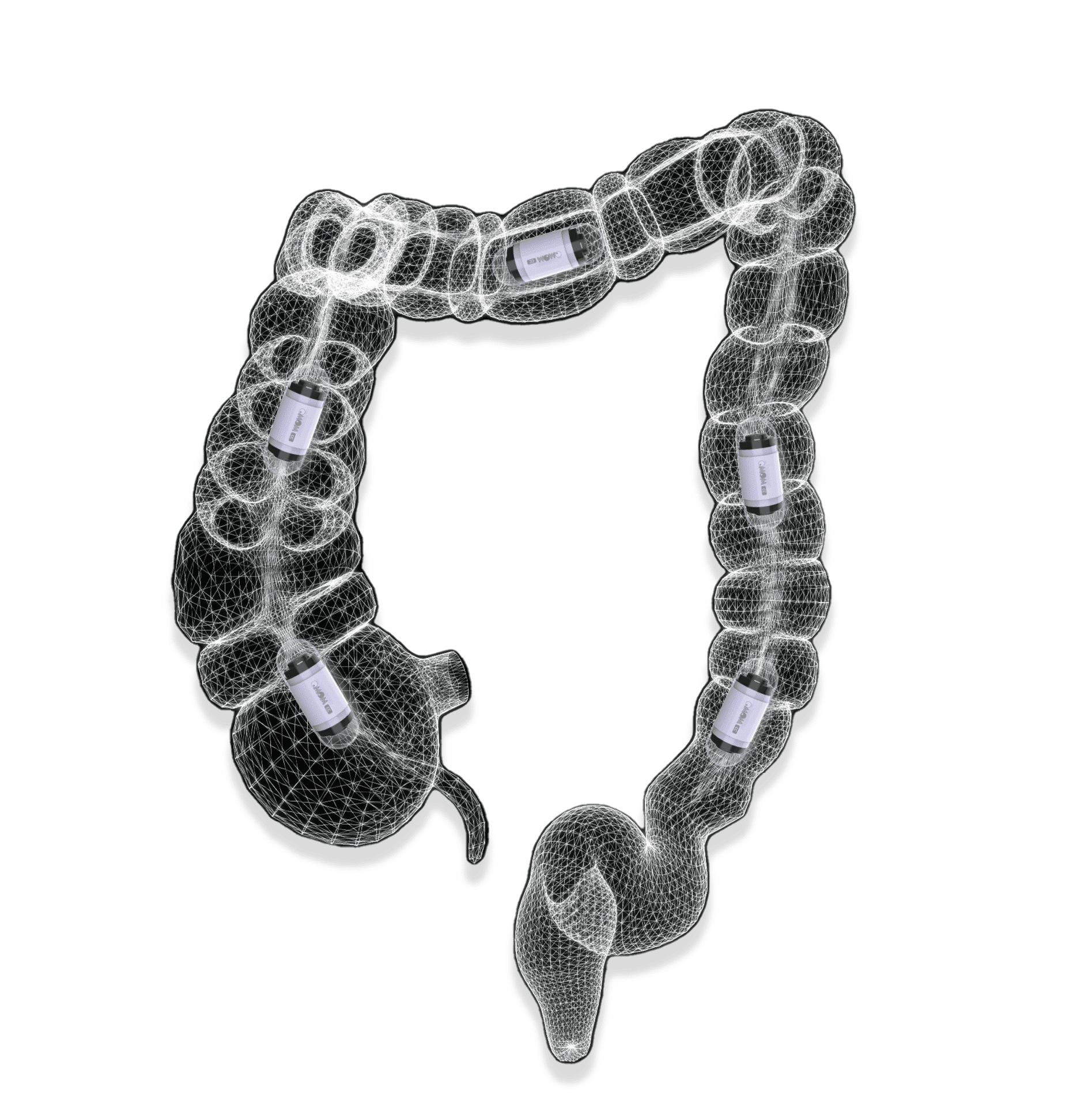 Capsule-dans-le-colon